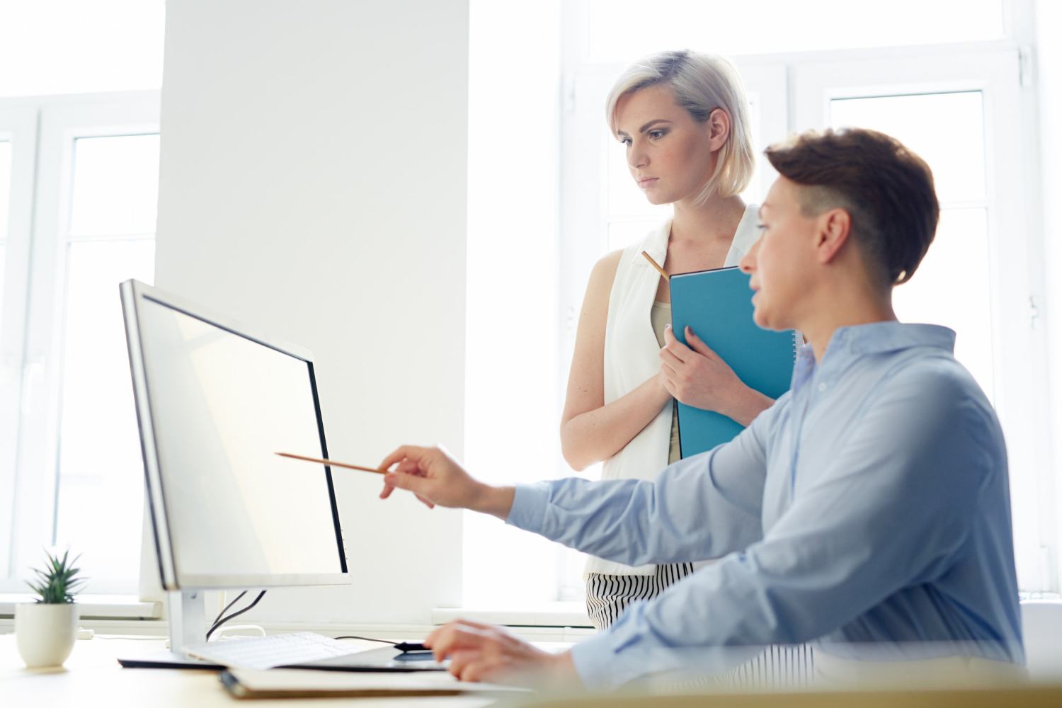 Expert Software Consulting from Neolore Inc